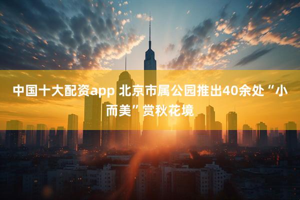 中国十大配资app 北京市属公园推出40余处“小而美”赏秋花境