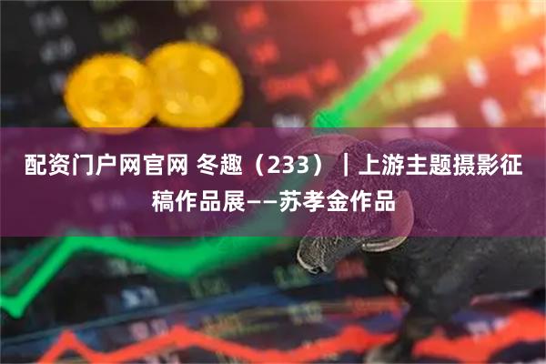 配资门户网官网 冬趣（233）｜上游主题摄影征稿作品展——苏孝金作品