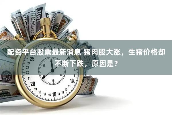 配资平台股票最新消息 猪肉股大涨，生猪价格却不断下跌，原因是？